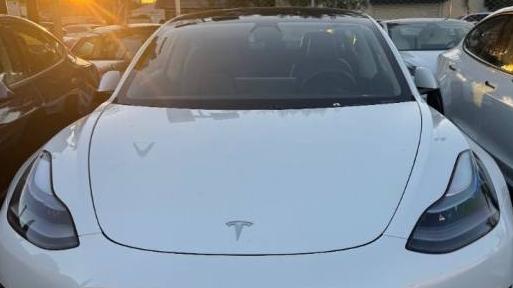 TESLA MODEL 3 2021 5YJ3E1EA2MF052095 image